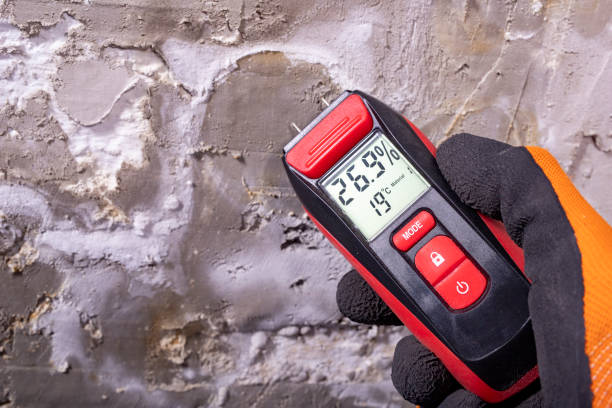 Best Office Mold Removal Services  in Ewa Gentry, HI