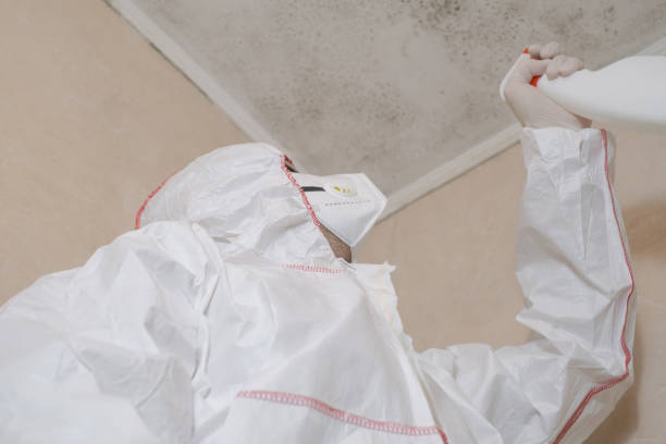 Best Residential Mold Removal  in Ewa Gentry, HI